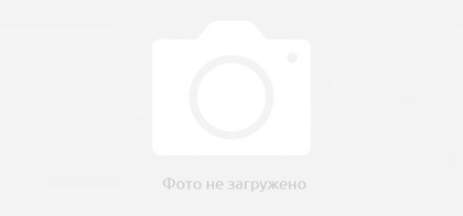 Услуги